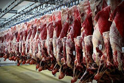 کشف ۱۰۰ تن گوشت تاریخ مصرف گذشته در رباط کریم تهران