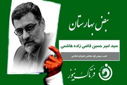 کارت سبز «نبض بهارستان» به سید امیرحسین قاضی زاده هاشمی