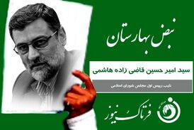 کارت سبز «نبض بهارستان» به سید امیرحسین قاضی زاده هاشمی