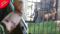 حمله مرگبار شیر باغ وحش به گردشگر!