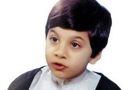 محمد حسین طباطبایی حافظ قرآن کجاست؟