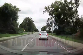 فرار لحظه آخری راننده از سقوط درخت