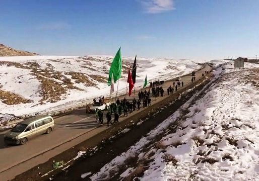 شور عاشقان امام رضا(ع) برای پیاده روی تا حرم، باوجود سختی‌های بسیار