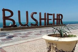 پرش زیبای نهنگ در ساحل بوشهر