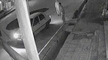 سقوط پراید در حفره بزرگ خیابان ولیعصر 