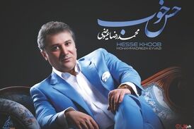 کنسرت های آنلاین باید ادامه پیدا کند/ حمایت نباشد ادامه ممکن نیست 