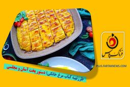 طرزتهیه کباب مرغ خانگی؛ دستور پخت آسان و مجلسی