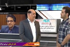  رسانه ها در مناطق آزاد کارکرد خود را از دست داده اند